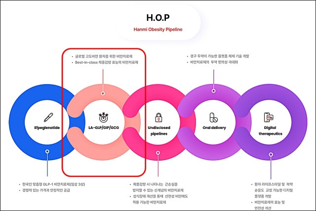 한미약품의 비만치료제 HM15275가 임상 1상에 진입한다. 사진은 한미약품의 비만치료 신약 프로젝트인 H.O.P. /한미약품