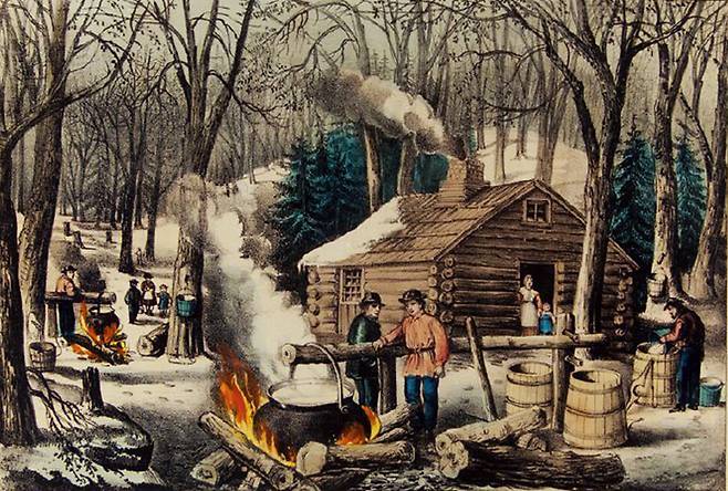 1872년 제작된 채색 석판화 ‘메이플시럽 제조’(Maple Sugaring). 뉴욕에서 활동한 판화 회사 커리어 앤드 이브스(Currier & Ives)의 작품으로, 부제는 ‘북쪽 숲의 이른 봄( Early Spring in the Northern Woods)’이다. 메트로폴리탄미술관 소장