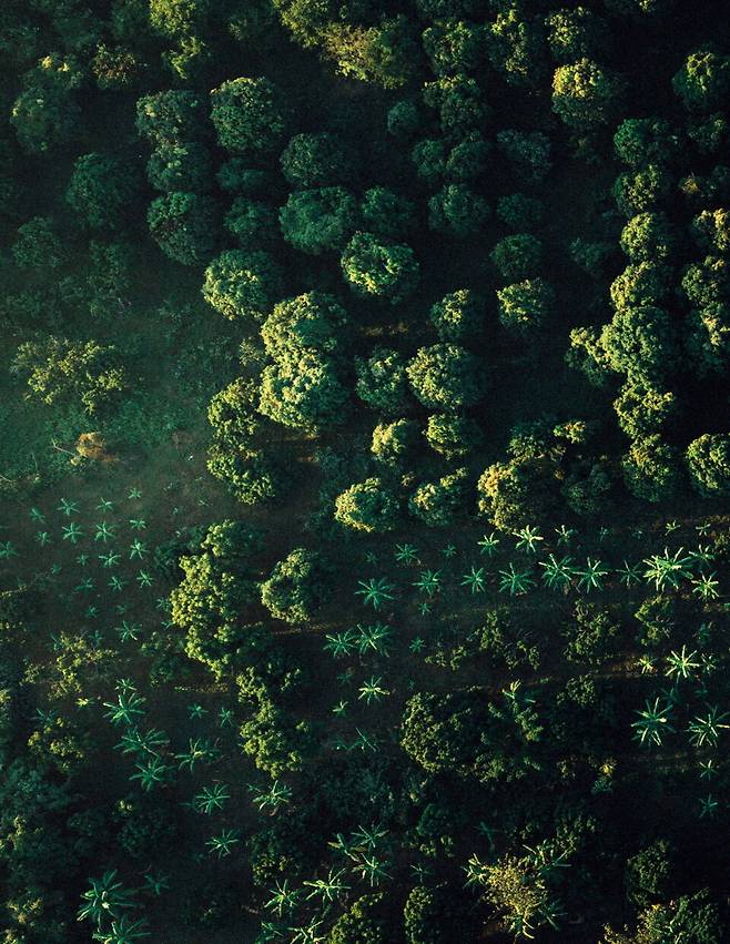 치앙마이는 산에 둘러싸인 분지 지형이다. 해발고도가 높아 열대지방에서 자라기 힘든 옥수수, 딸기 같은 작물이 잘 자란다