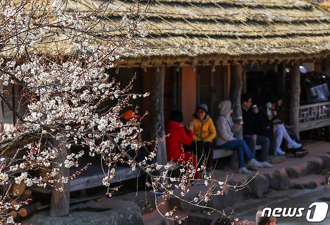 광양매화축제가 개막한 8일 전남 광양시 매화마을을 찾은 상춘객들이 봄 기운을 만끽하고 있다. 광양매화축제는 섬진강변과 청매실농원을 중심으로 오는 이날부터 17일까지 열린다. 2024.3.8/뉴스1 ⓒ News1 김진환 기자