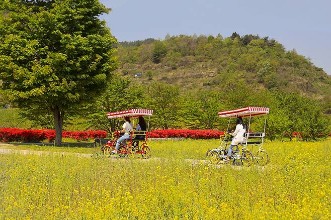섬진강끝들마을에서는 가족 자전거도 무료로 빌릴 수 있다. / 사진=광양시청