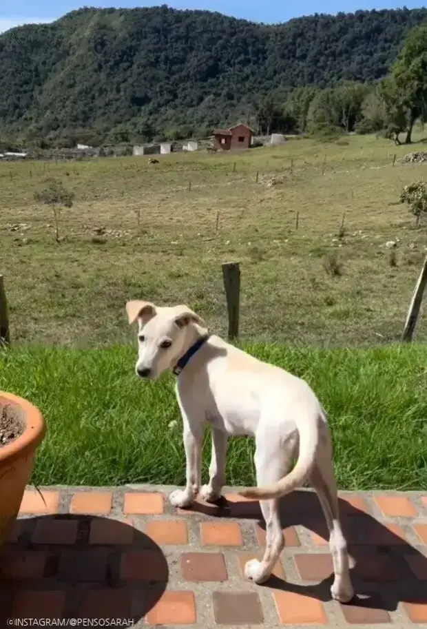 ⓒINSTAGRAM/@PENSOSARAH