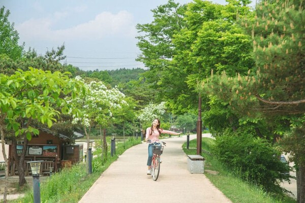 온라인 커뮤니티