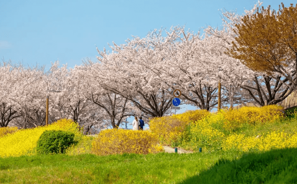 온라인 커뮤니티