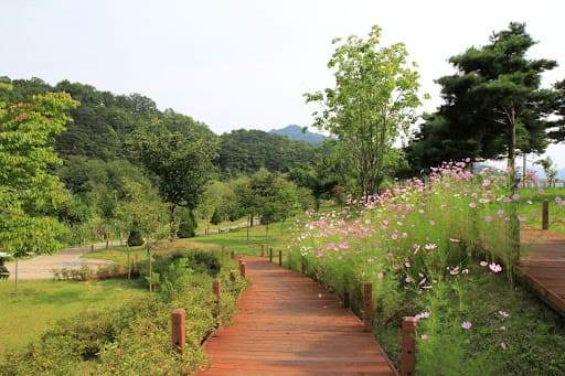 거창 가볼만한 곳 BEST 5 / 온라인 커뮤니티