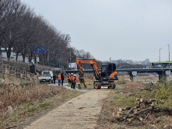 지난달 29일 전주시 관계자 등이 전주천 일대에서 중장비를 동원해 버드나무 벌목 작업을 하고 있다. 사진 전북환경운동연합