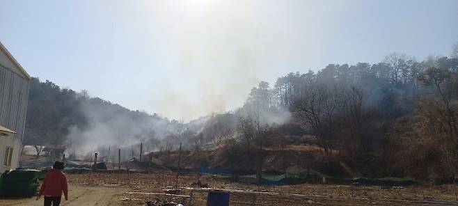 산불 현장 모습 [산림청 제공. 재판매 및 DB 금지]