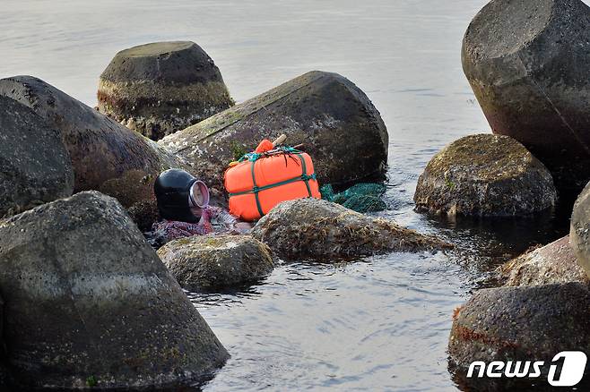 경북 포항시 북구 환여동 해안에서 해녀들이 수확한 돌미역을 옮기고 있는 모습.(뉴스1 자료) 2020.3.9/뉴스1 ⓒ News1