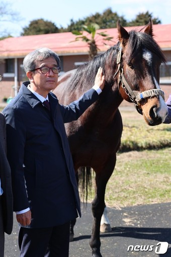 정기환 한국마사회장이  신규 씨수말 '클래식 엠파이어'를 살피고 있다.(한국마사회 제공)