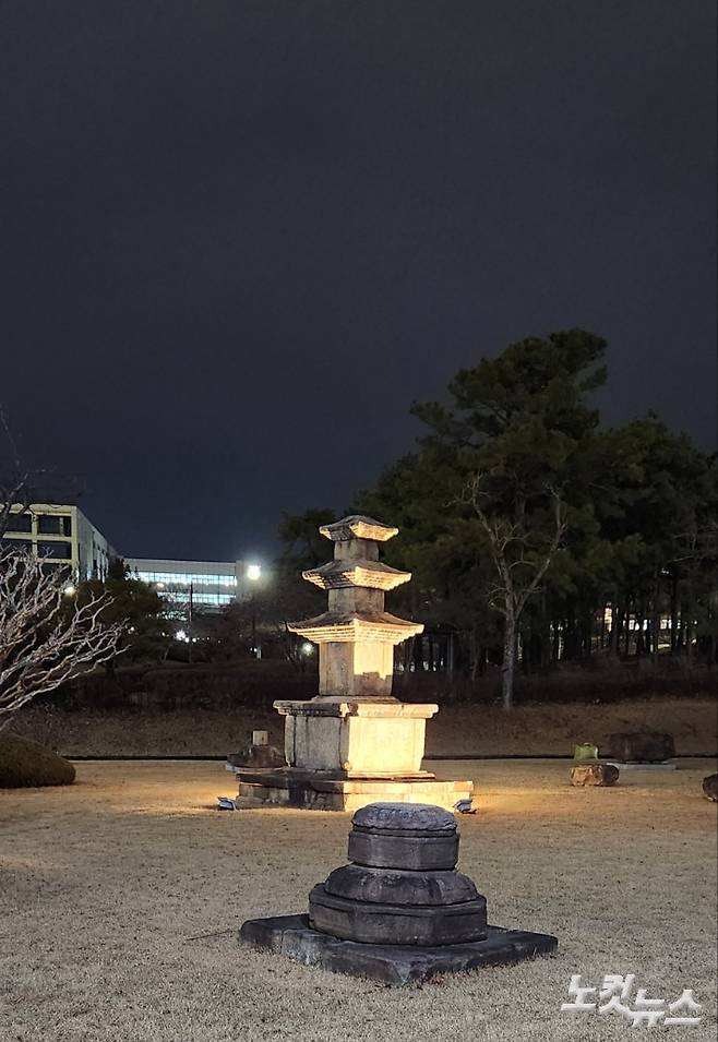 경북대 야외 박물관의 야경 너머로 전산소 빌딩이 보인다. 이재기 기자