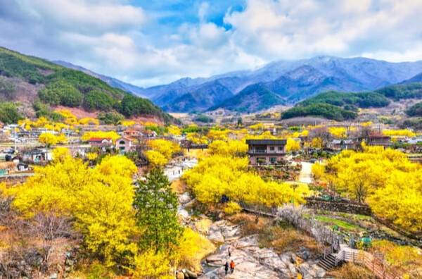 온라인 커뮤니티