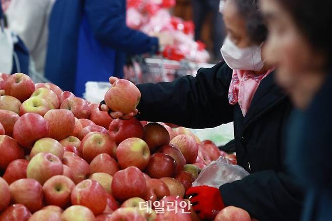 고르기 겁나는 사과 가격 ⓒ연합뉴스