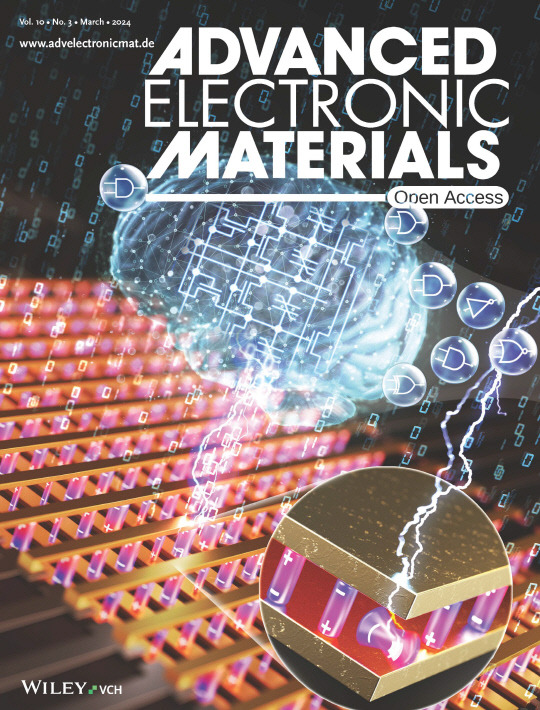 Advanced Electronic Materials 표지 이미지