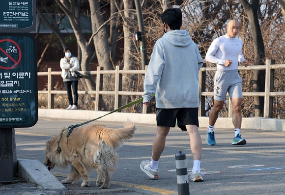 서울 중구 남산에서 시민들이 산책하고 있다. [사진=뉴시스]