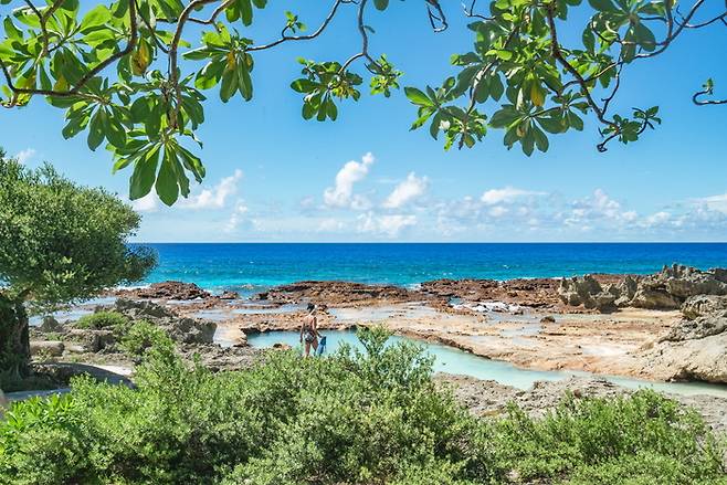 로타 북쪽 해안에 위치한 스위밍 홀 / 사진=마리아나관광청