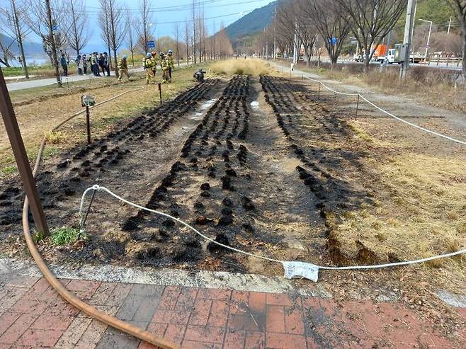 [대구=뉴시스] 12일 오후 1시49분께 대구 달성군 논공읍 남리 논공꽃단지에서 화재가 발생했다. (사진=대구소방안전본부 제공) 2024.03.12. photo@newsis.com *재판매 및 DB 금지