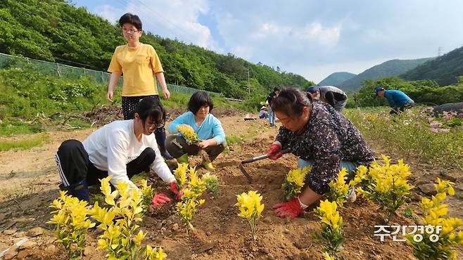 전남 순천시 모이라 사회적협동조합 농장에서 발달장애인들이 임업 교육을 받고 있다. 모이라 제공