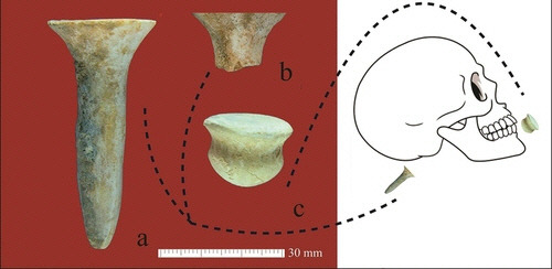 석기시대 피어싱 유물. [Antiquity 캡처]