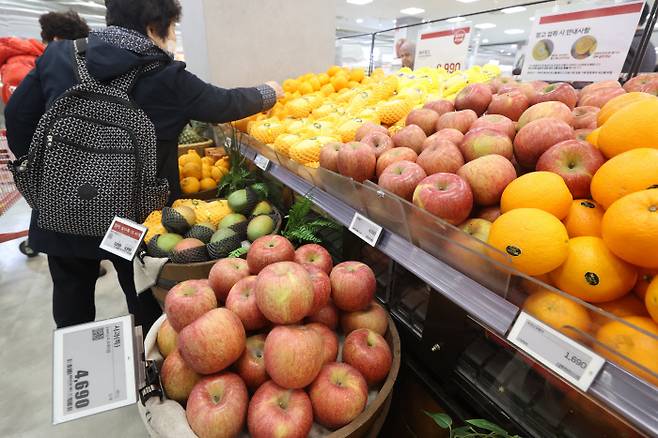 한 소비자가 13일 서울의 한 대형마트에서 진열된 과일을 고르고 있다. 후지 사과 10㎏당 도매가격은 9만1700원으로 1년 전(4만1060원)보다 123.3% 올랐다. 연합뉴스