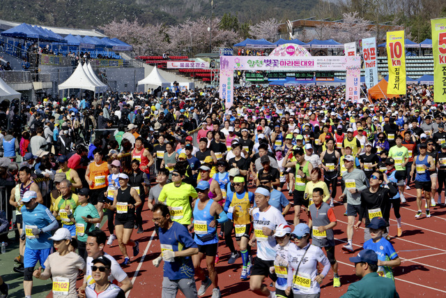 지난해 열린 ‘제22회 합천벚꽃마라톤대회’에서 참가자들이 출발 지점을 힘차게 달려나가고 있다.