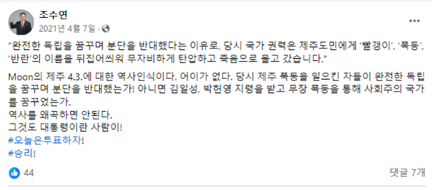 ▲ 조수연 후보 페이스북 캡처.