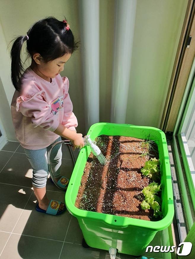 상자텃밭에 물을 주는 어린이.(강남구청 제공)