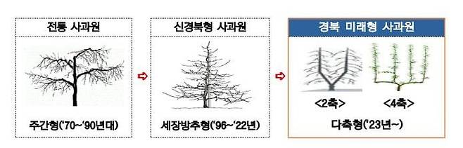 기존 사과 재배 방식과 다축형 과원 비교. /경북도 제공