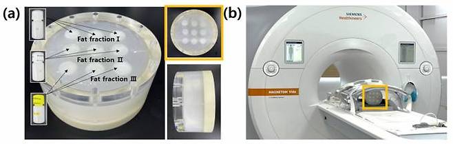 팬텀 형태로 MRI 기기에 적용한 유화 표준물질. 한국표준과학연구원