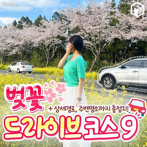 벚꽃 드라이브 코스 추천 / ⓒ여행톡톡