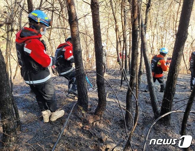 15일 오후 1시1분쯤 발생한 경북 영덕군 병곡면 각리리 야산 산불 현장에서 산림청 소방인력들이 진화작업을 하고 있다. (산림청 제공) 2024.3.15/뉴스1