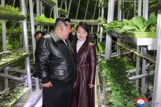 김정은 북한 국무위원장이 지난 15일 딸 주애와 강동종합온실 준공 및 조업식에 참석했다고 조선중앙통신이 16일 보도했다. 연합뉴스