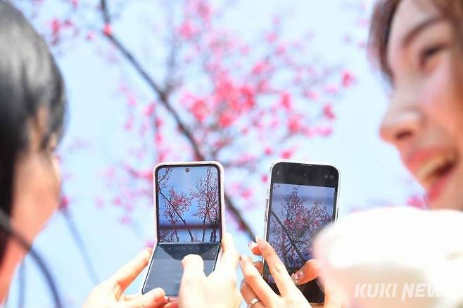 15일 '서울로 7017'을 찾은 두 여성이 밝은 표정으로 스마트폰에 홍매화와 매화를 담고 있다.