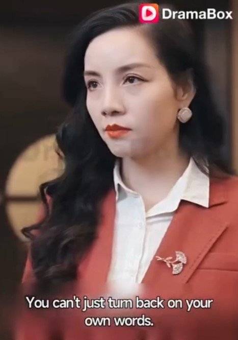 자국에서 '2분 드라마'로 상승세를 타고 있는 드라마박스 등 중국 숏폼 드라마 플랫폼들이 미국 빅테크 기업 메타에 적극적으로 광고를 집행하며 구독자 유치에 열을 올리고 있다. 사진 드라마박스 캡처