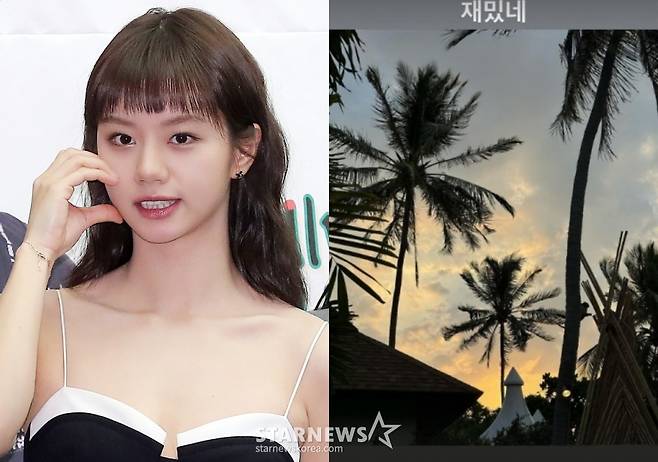 /사진=스타뉴스, 혜리 SNS