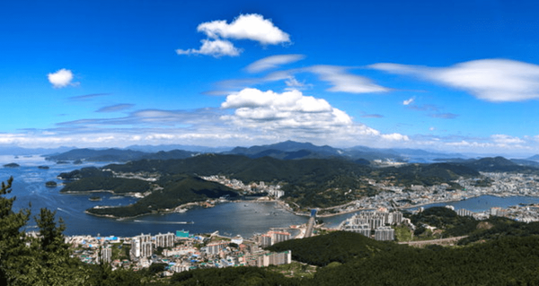 온라인 커뮤니티