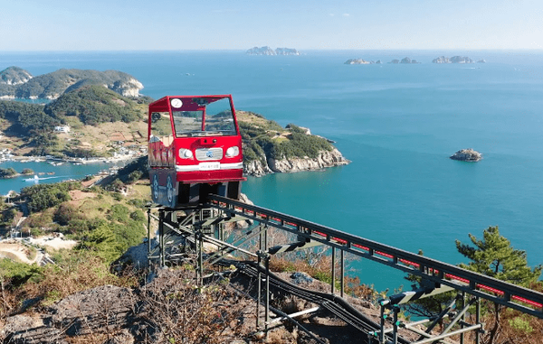 온라인 커뮤니티