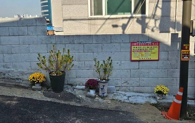 골목길에 놓여진 국화 화분/산마루 교회 제공