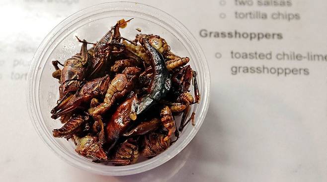 미국 프로야구팀 시애틀 매리너스는 메뚜기 튀김을 구장에서 선보여 큰 인기를 얻었다./시애틀 매리너스