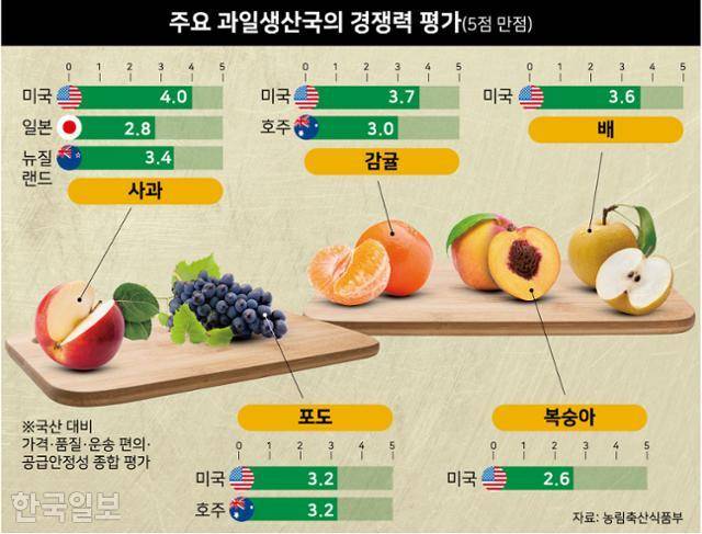 주요 과일생산국의 경쟁력 평가. 그래픽=강준구 기자