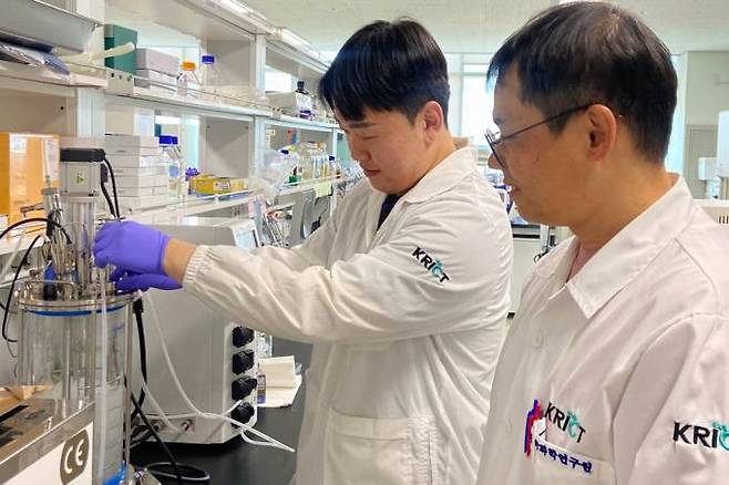 바이오 아디프산 생산을 위한 미생물 세포공장인 '야로위아 리폴리티카' 균주를 배양하는 모습. 한국화학연구원