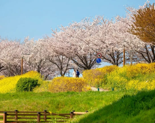 온라인 커뮤니티