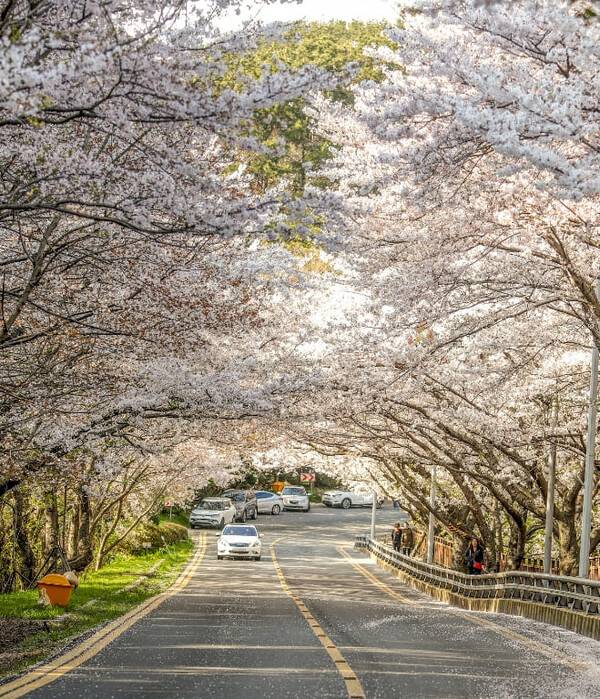 온라인 커뮤니티