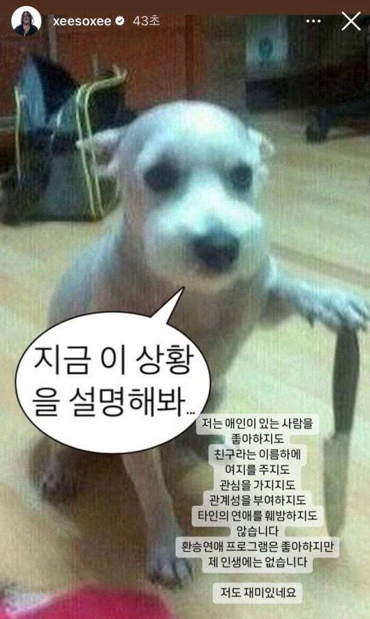 배우 한소희 씨가 환승열애설에 반박하며 올린 글. 칼을 든 강아지를 배경으로 사용했다. (사진=한소희 인스타그램 캡처)