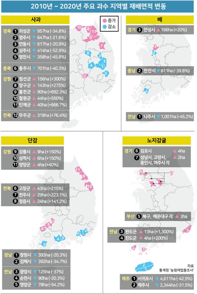 2010년 ~ 2020년 주요 과수 지역별 재배면적 변동. 그래픽=강준구 기자