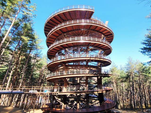 무장애 숲 체험시설인 태백산 하늘전망대. 국립공원공단 제공
