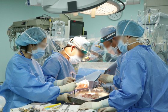폐 수술. 사진 서울아산병원