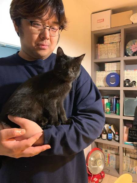 미래씨 남편 신형씨 무릎에 올라온 뒤, 그대로 집까지 올라왔던 날. 고양이에게 간택당한 집사여./사진=용식이 보호자님