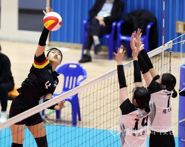 중앙여고 박윤서