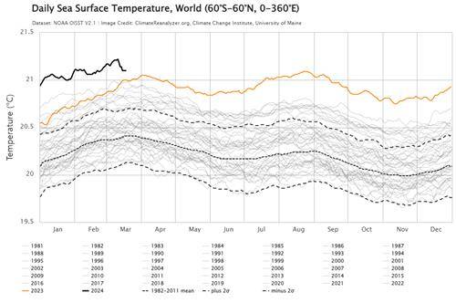 지난해 일일 해수면 온도 그래프 [메인대 기후변화 센터 기후재분석기(Climate Reanalyzer) 제공. 재판매 및 DB 금지]