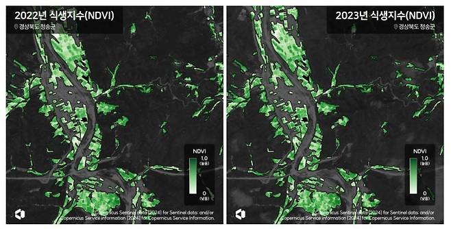 나라스페이스 어스페이퍼팀이 위성 영상을 활용해 분석한 경북 청송군 식생지수. 지난해와 2022년 식생지수 차이를 비교한다./나라스페이스